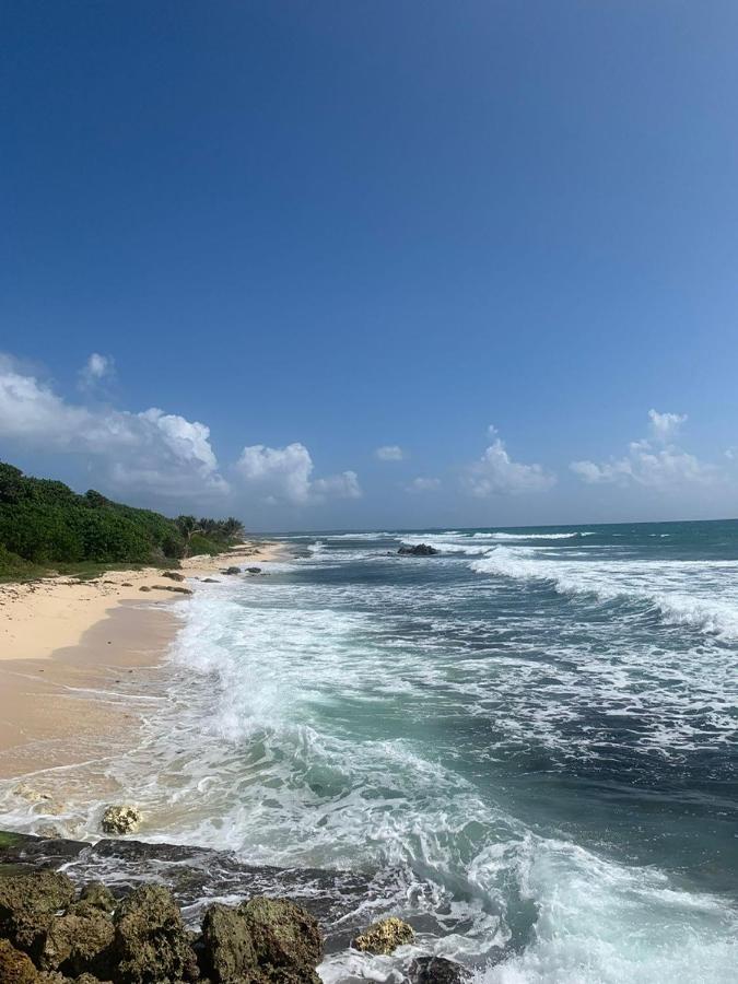 Villa Nomilou Beach avec Accès direct à la Plages Saint-Francois  Exterior foto